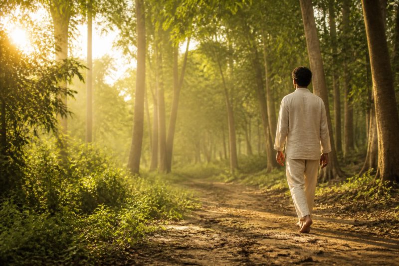 A man walking along a sunlit forest path