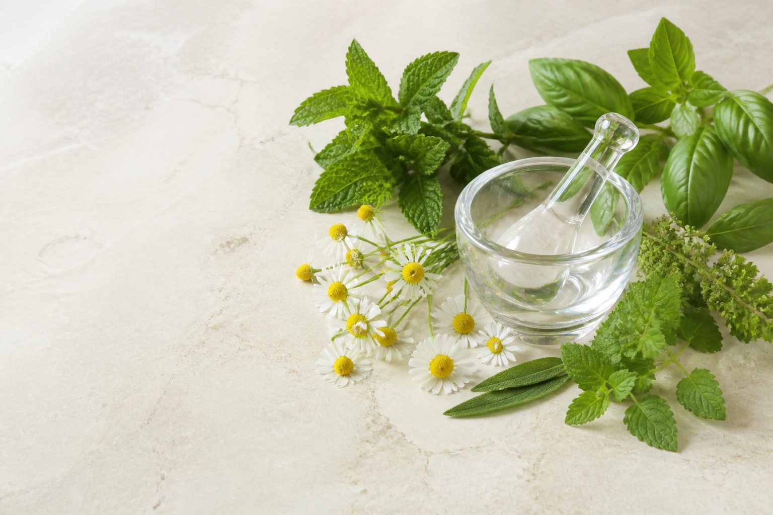 Freshly cut herbs and flowers on a work surface